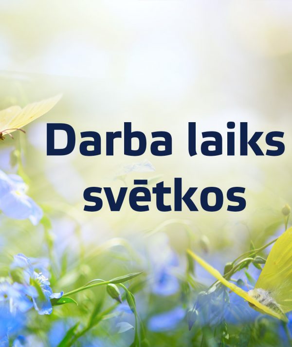 Darba laiks svētkos