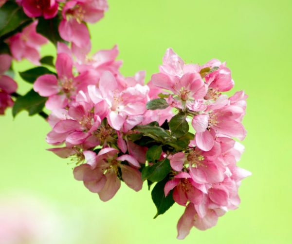 Darba laiks svētkos